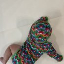 비고리조트 6 이미지