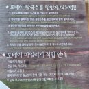 성씨네농장 | 오늘은 모란역 맛집 포베이에서 쌀국수
