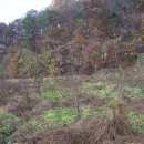 배산부동산공인중개사사무소 이미지