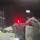 4455 | 스칸디나비아 SAS 항공 SK4455 코펜하겐 비즈니스 후기