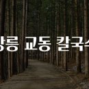 GS강릉교동현대 | 강릉 교동 칼국수 맛집을 찾아서