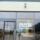 아이비비드 이미지