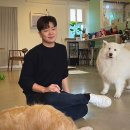 대도디자인 | 미대 나온 졸업생 후기 .. | 경북대 디자인학과