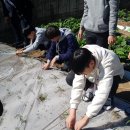 흥성농장 이미지