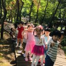 펄벅공원 이미지