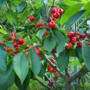 세영농장 이미지