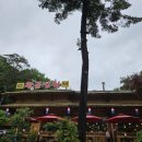 서울야채 - 공주시 의당로 152 | 서울야채