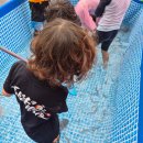 하이점프 체육관 이미지