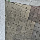 동탄초등학교 앞 이미지