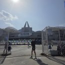 팀투혼 | 부상 투혼! 2026 대구국제마라톤 10.9km 완주 후기