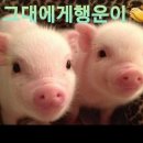 #로또복권 당첨 확률 2배로 올리는 방법은? 😁😂🤣😁😂🤣......... 이미지