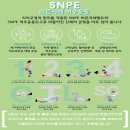 리건나인필라테스