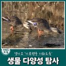쉐마기독학교 | 기후행동 기회소득 <생물 다양성 탐사> 기록