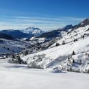 향기로 여는 마음의 문 이미지