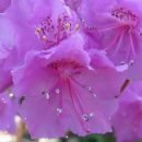 임실 예원예술대학교 이미지