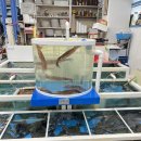 저동목욕탕 이미지