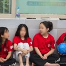 태양(태권도) 이미지