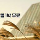 휘닉스호텔 이미지