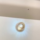 누아(nuah) 이미지