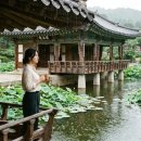 시크릿강릉