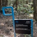 대천동 문화1 어린이공원 | < 올레길 7-1코스 > 고근산 ~ 서귀포시 버스터미널