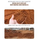 에코카보닝