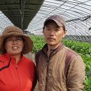 비량농원 이미지