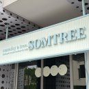 연희세탁마을 | 아기 데이베드 침대 | 솜트리 레인보우 컬러 고민, 쇼룸방문 구매후기 | 아기방 꾸미기