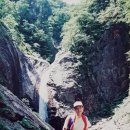 신방한라동백@ 1 이미지