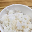 주천야채