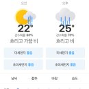 부산 내일 강수량 이정도면 이미지