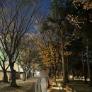 가 곡 | [경주 여행] 경주 가볼만한 곡 3탄 : 대릉원 위치, 요금, 주차 후기 *내돈내산