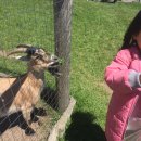 시은농장 이미지