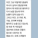 태고 | 침향오일 후기-태고적 정수