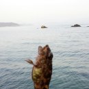 고*호 - 안양시 만안구 연현로79번길 | 고*호