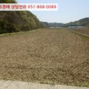 미천면-9 네이버블로그