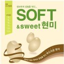 대박 SOFT 이미지