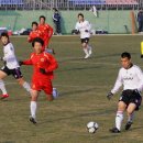 시민축구장 천연잔디구장 이미지