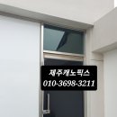 제주캐노픽스 이미지