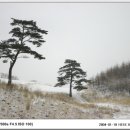 은서목장 이미지