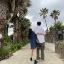 협재별지기 이미지