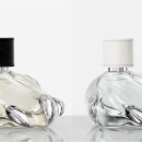 선샤인퍼피 이미지