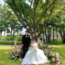 방배중앙로15길 3 | 서울 야외 결혼식 웨딩 플라워 디렉팅 추천, 블랑디 내돈내산 후기(국회의사당 사랑재)