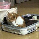 양궁갈비식당 | 오랜만에 꺼내보는 “여수”여행 with. 엄마 둘째딸