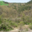 노동리 기두마을 이미지