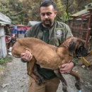 유전1농장 이미지