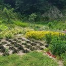 지원농장 이미지