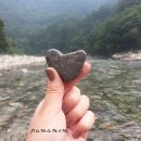 한솔농원 이미지