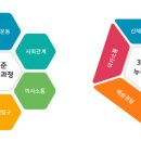 행복한 꼬마 거북이 이미지