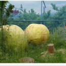 김태순농장 이미지